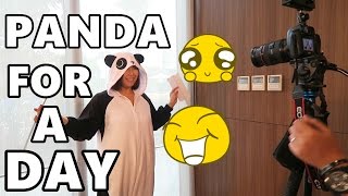PANDA for a Day! (August 2, 2016) - saytioco