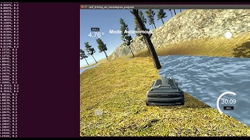 Behavioral cloning fail at medium graphic quality