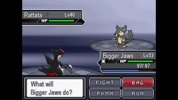 Pokemon Reborn Alolan Guide - rattata