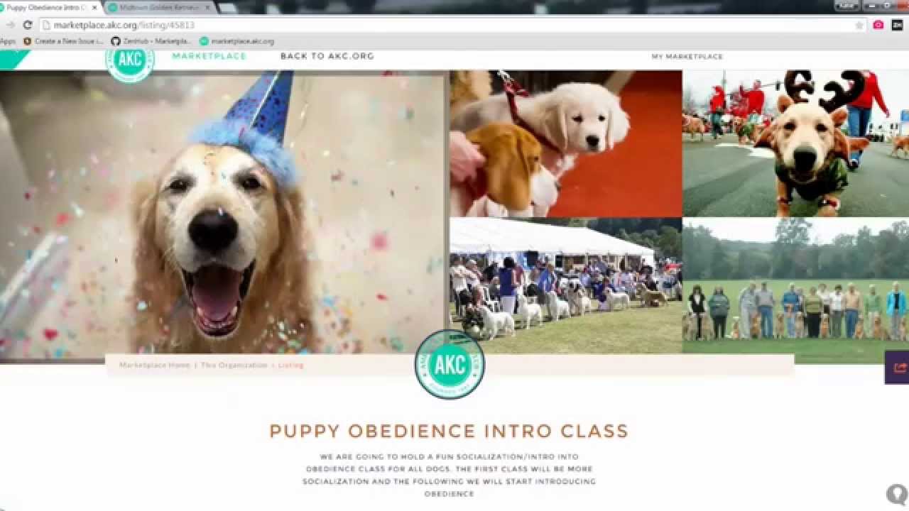 akc marketplace puppies