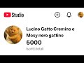 Lucino Gatto Cremino e Mosy nero gattino sta trasmettendo dal vivo. DIRETTA PER I 5000 ISCRITTI