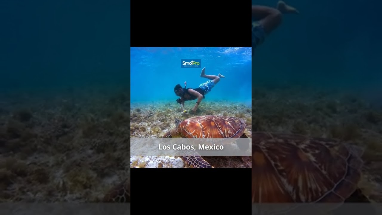 Worlds Best Snorkeling Destination | travel tips | SmotPro India Worlds Best Snorkeling Destination | travel tips | SmotPro India