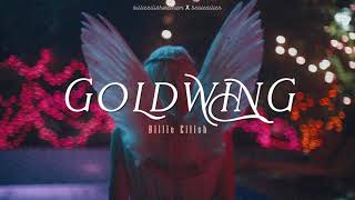 [Vietsub + Lyrics] GOLDWING - Billie Eilish