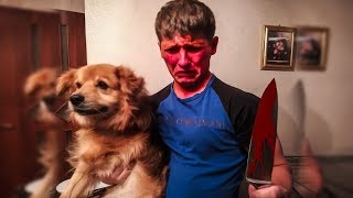 фаина питбуль, отрезал собаке лапу, и чем кормлю собак фаина питбуль, отрезал собаке лапу, и чем кормлю собак