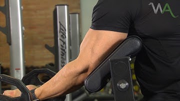 ROSCA BÍCEPS NO BANCO SCOTT COM BARRA W