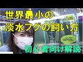 【ペットずかん】世界最小の淡水フグ アベニー・パファー編 #35 2022/3/8放送