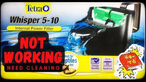 Fish Tank Filter Not Working