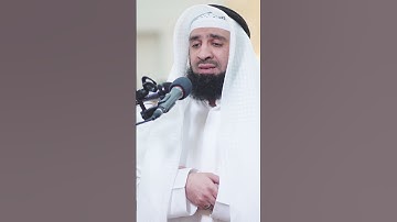 ماتيسر من سورة فصلت   الشيخ بدر العلي