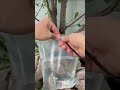 #kreatif #tutorials #woodworking