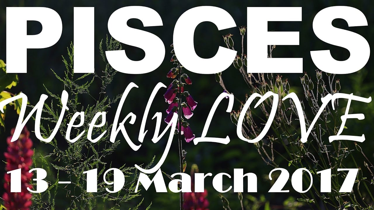 pisces weekly 13 to 19 love tarot
