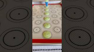 Macaron Piping #macaron #frenchmacarons #piping #shells #process #green #apple #fyp #shorts