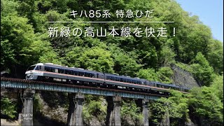 【キハ85系】特急ひだ 新緑の高山本線を快走！