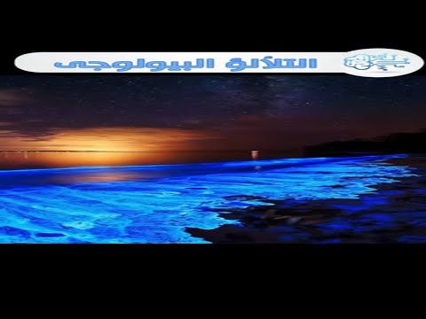 التلألؤ البيلوجى كائنات تنتج الضوء 