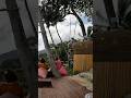 Patong Beach Exploring Hidden Cafe Phuket Thailand