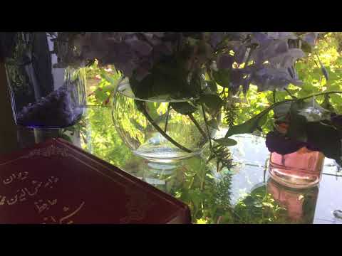 زلفين سياه تو به دلدارى عشاق دادند قرارى و ببردند قرارم 