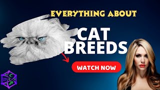 The Right Cat Breed for You