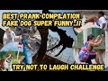 Best prank compilation  fake dog prank super funny  try not to laugh challenge