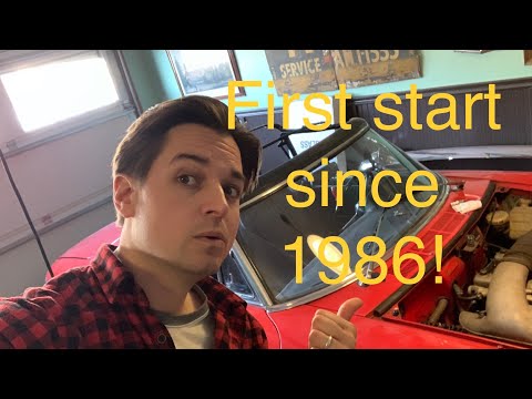 first-start-since-1986!-found-alfa-romeo-duetto-first-start-today!-live-feed
