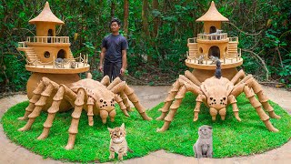 Rescue Kitten and Build Tarantula House for cats - Build Cat House for rescue cat