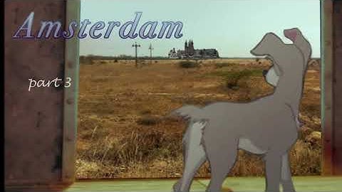 Amsterdam ON HOLD MEP