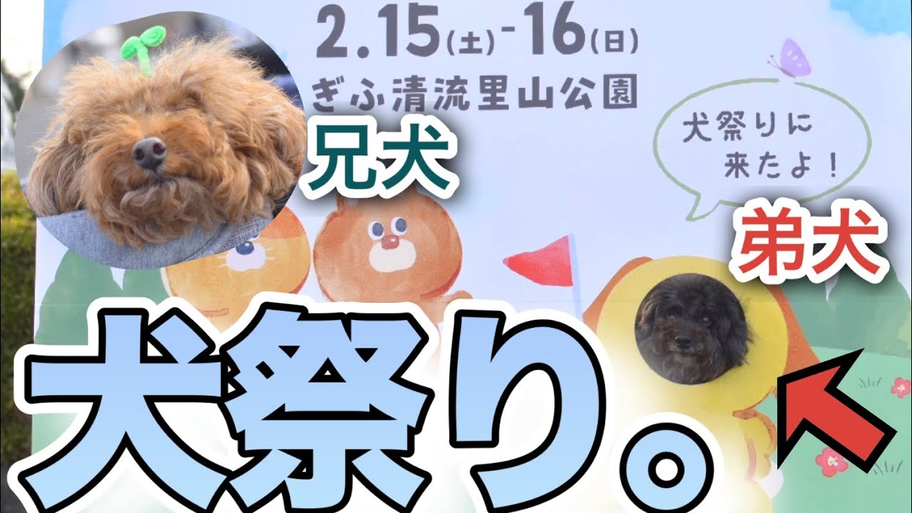 【犬祭り2025】ぎふ清流里山公園行ってみた！
