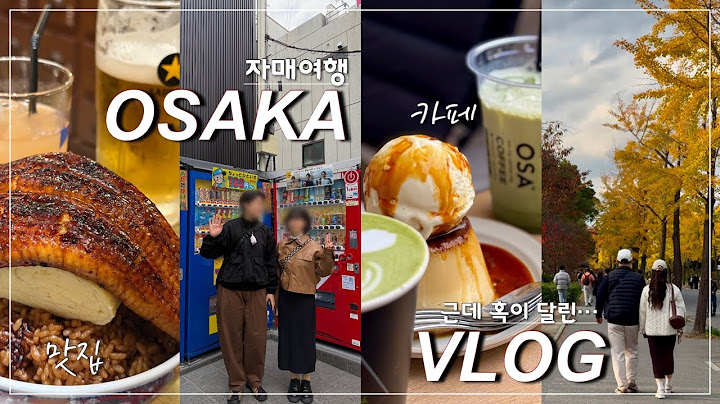 오사카여행vlog🇯🇵 동생 커플과 함께 한 2박3일 일본 여행. 자매라서 행복해요☺️ | 오사카 맛집 | 오사카 단풍 | e패스 200% 활용하기 | 피크민 꽃 잔뜩 얻고 오기