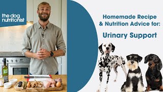 Urinary Support Recipe for Dogs - The Dog Nutritionist by The Dog Nutritionist 9,061 views 10 months ago 8 minutes, 48 seconds