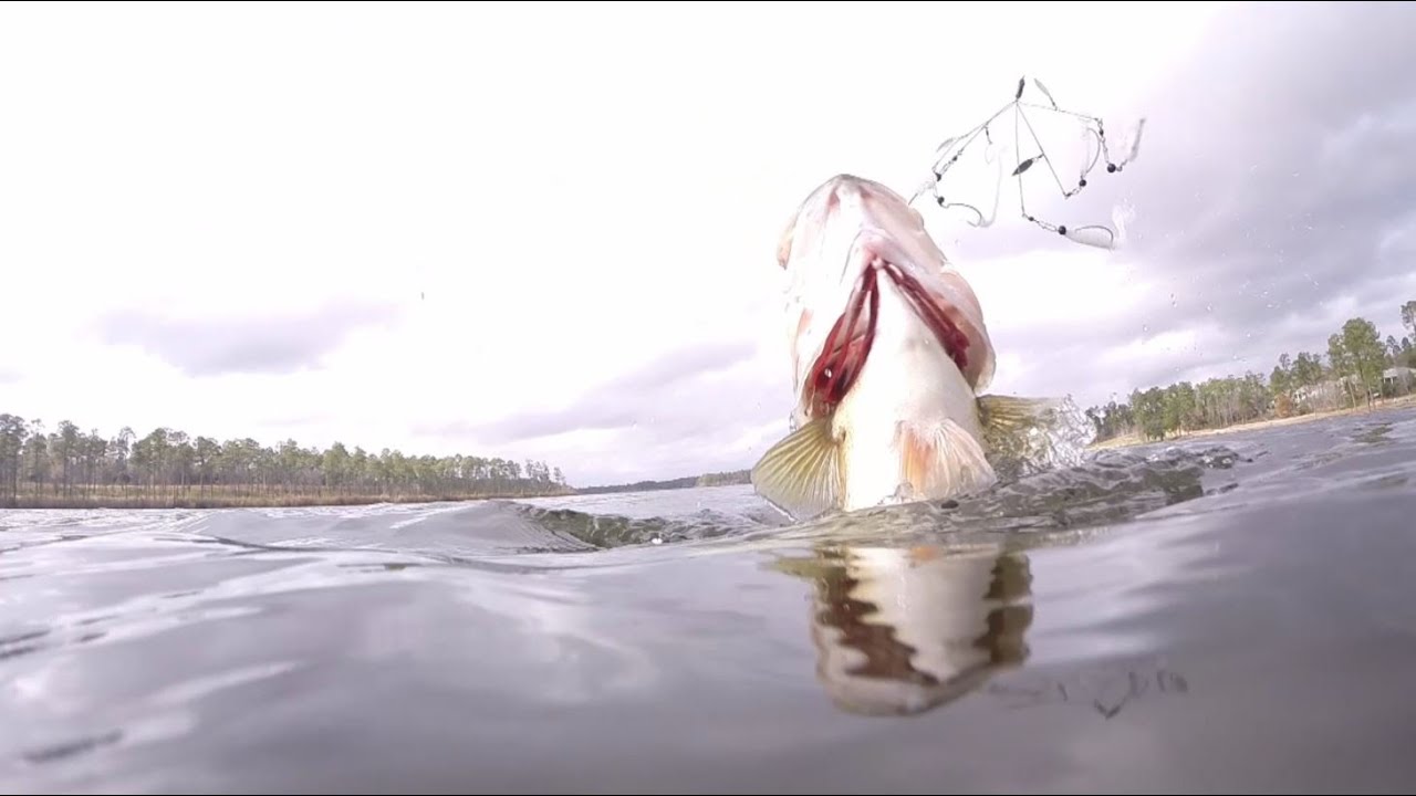 bass fishing at night 2015 Bass Fishing Highlights