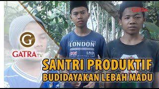 Santri Produktif Budidayakan Lebah Madu