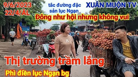 giá vải hôm nay 9/6/2023 vải nhiều tắc đường giá giảm hơn bà con khó bán