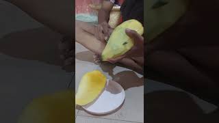 wayahe..#panenmangga#manggakiojay