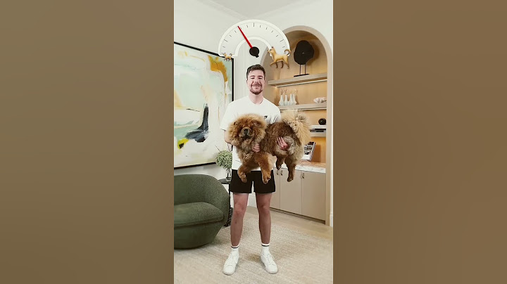 Holding bigger and holding dogs #comedy #cutedog #goldenretriever #pets #prank #mrbeast #formula1