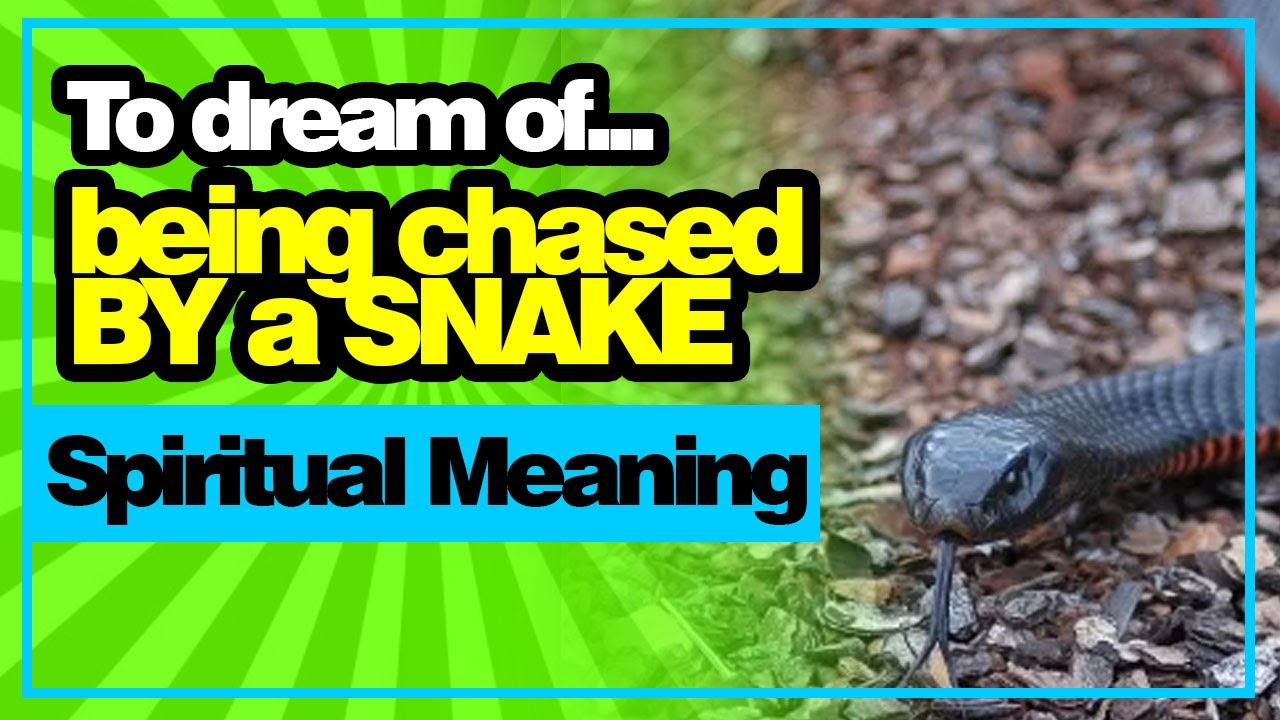Dream of Being Chased by SNAKE (Dream Meaning and Spiritual Meaning