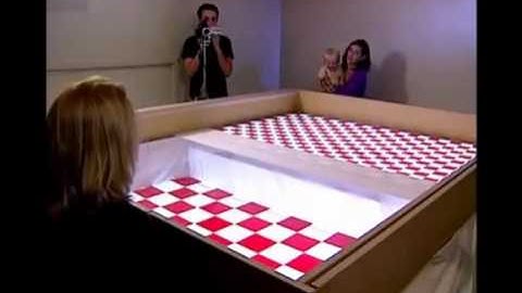 Visual Cliff Experiment  OSU Psychology 1100 mp4