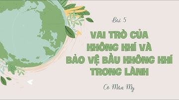 Bài 5. Vai trò của không khí và bảo vệ bầu không khí trong lành (p1) - KH4 - KNTTVCS - OLM.VN