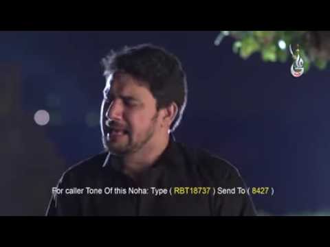 ABBAS Kahan Ho Bhai FARHAN ALI WARIS New Exclusive Noha 2016 YouTube