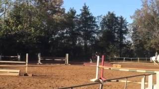 Jumping 4ft