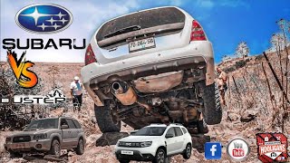 Subaru Forester VS Dacia DUSTER как субаристы отстаивают первенство в Израильских Голанских высотах