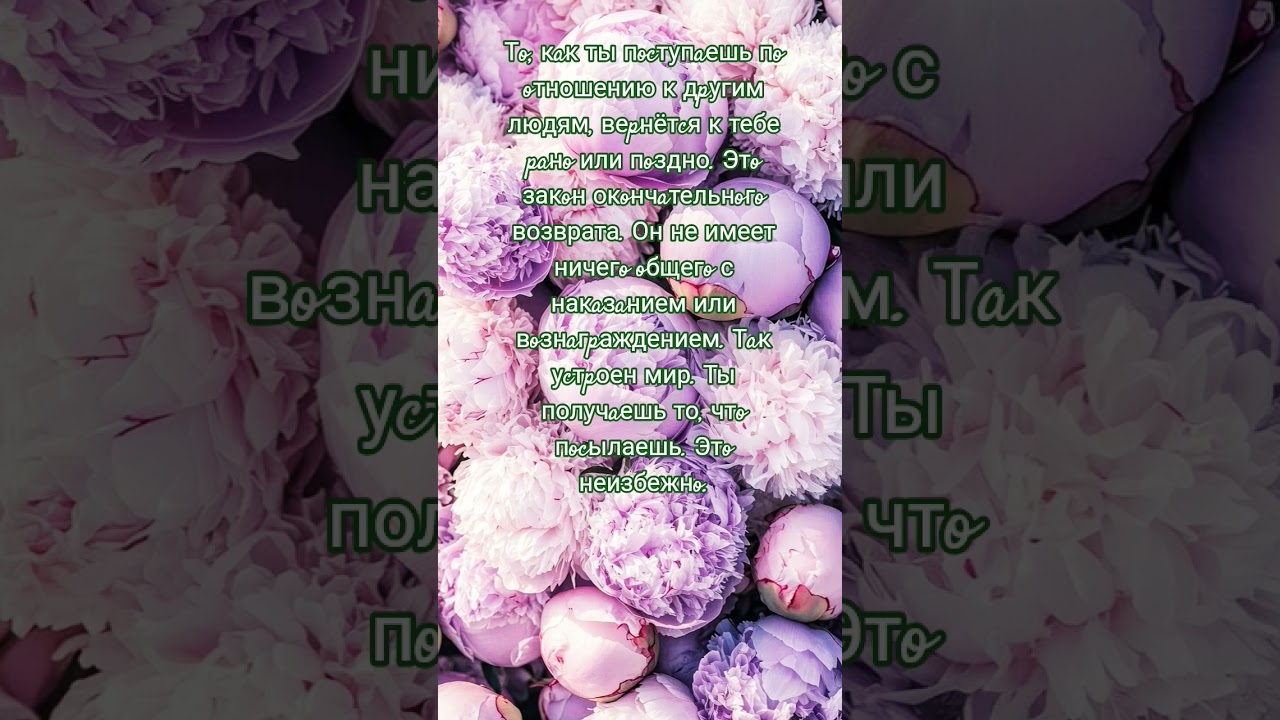 ,#shurts ,#рек ,#рекомендации ,#топ ,#сильныесловасосмыслом ,#пожеланиедлядрузей