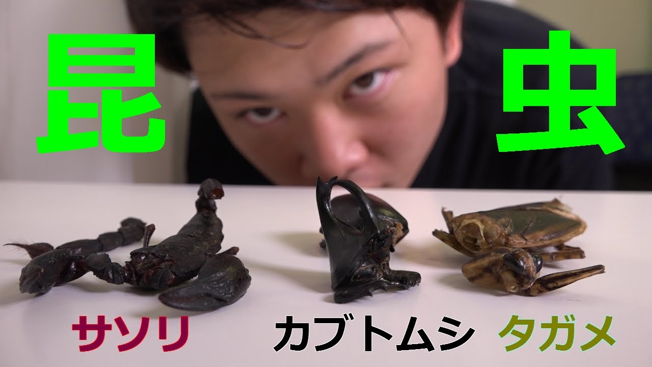 閲覧注意 サソリ カブトムシ タガメを虫嫌いが食べてみた Youtube