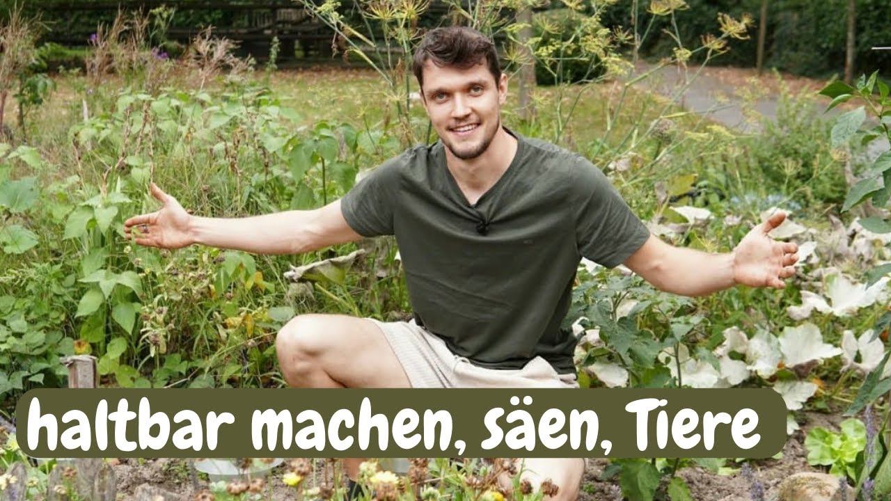 Gartenarbeiten im September Gemüsebeet, Chinakohl säen uvm.🌱 YouTube