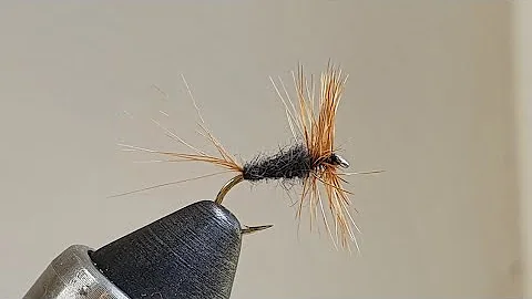 Ginger Adams spider style dry fly