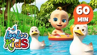 five little ducks learn english with songs for children looloo kids