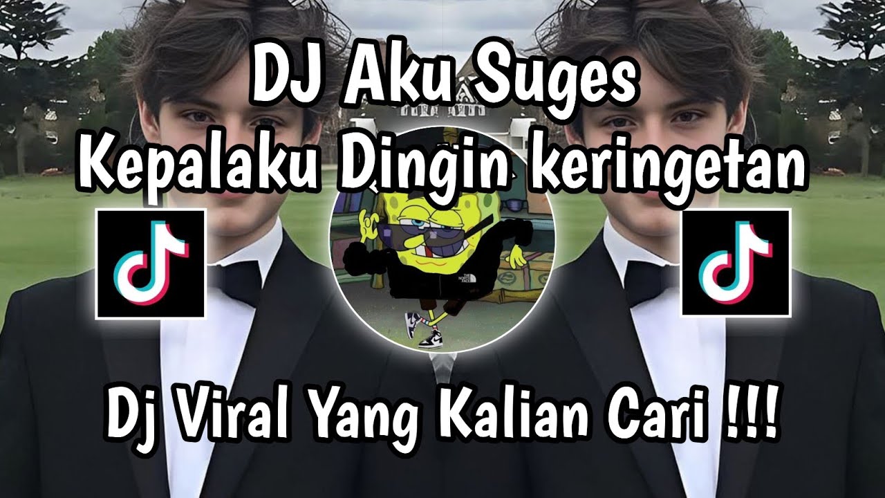DJ AKU SUGES SUGES KEPALAKU DINGIN KERINGATAN TREND JEDAG JEDUG VIRAL FYP! 