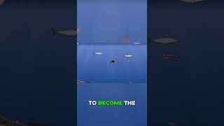 Bloop's Feast: Eating My Way to the Top!