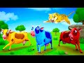 3 magical colored cows fun play with elephant and tiger  funny cows ep 1  animals 3d cartoons