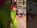 Monkey Alipiri Steps Ttd Balaji Tirupati Tirumala Shorts Youtube Viral Bhimas Blogs