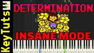 Learn to Play Determination from Undertale - Insane Mode screenshot 1