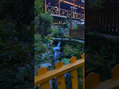 ولي أمل بربي لايخيب عل قو آمالكم بالله Satisfying Shorts لايك اكسبلور يوسف الايوبي