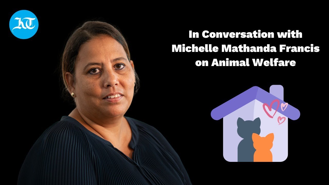 KT Life Podcast: Why animal welfare should be on top of your mind - YouTube